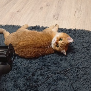 Telegram profile photo for Блог Айны 🏳️🌈