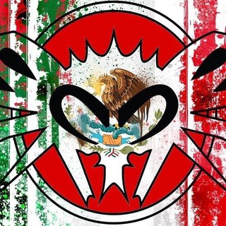 Telegram profile photo for Black Flys Mexico ®