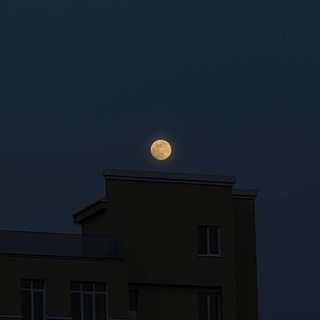 Telegram profile photo for م