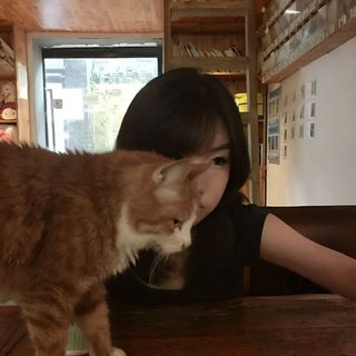 Telegram profile photo for stickers