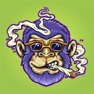 Telegram profile photo for VPN | Professor Club