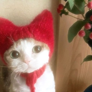 Telegram profile photo for империя яблочных котят