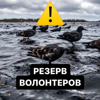 Telegram profile photo for Резерв волонтёров "Полярные Зори"