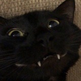 Telegram profile photo for Опять вкинулся