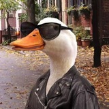 Telegram profile photo for adam stream