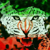 Telegram profile photo for CHANEL_ETEHADI