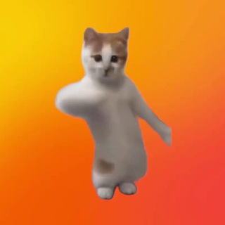 Telegram profile photo for покетфи/тонфан/блюм алертс типо