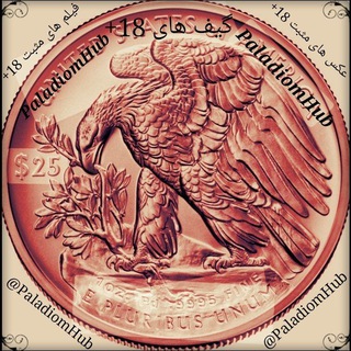 Telegram profile photo for PaladiomHub