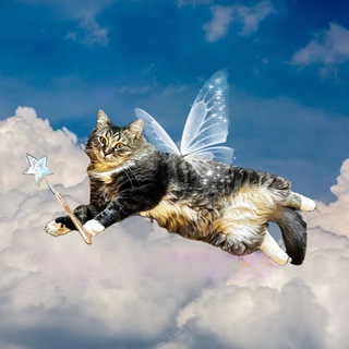 Telegram profile photo for Барсек хуярсек