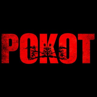 Telegram profile photo for FPV РОКОТ КрасноярсК
