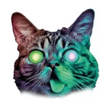 Telegram profile photo for BUFF Cat Portal