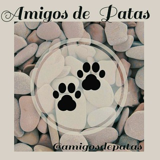 Telegram profile photo for ᴀᴍɪɢᴏs ᴅᴇ ᴘᴀᴛᴀs🐾🐕🐾🐈🐾🐩