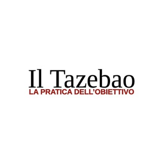 Telegram profile photo for Il Tazebao