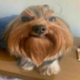 Telegram profile photo for 🌈подвал p0n4ek'а