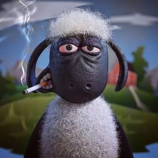 Telegram profile photo for Sheep Media