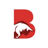 Telegram profile photo for BullishAcademy