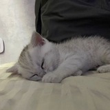 Telegram profile photo for милашкина❤️🩹