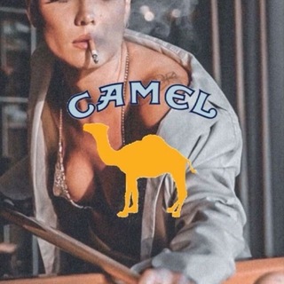 Telegram profile photo for 🖕