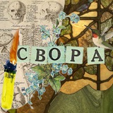 Telegram profile photo for Меняльник Волгоград | Свора