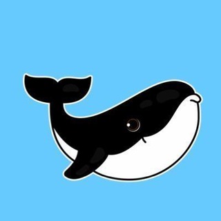 Telegram profile photo for WHALE 🐳 EVERYTHING NEWS
