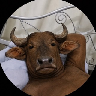 Telegram profile photo for صادُقِ زَمَند🗣️