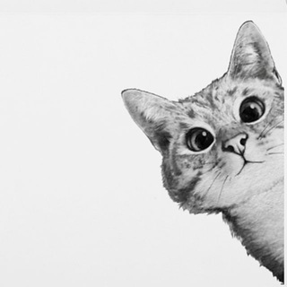 Telegram profile photo for ТОПиК - Тут Открытки, Праздники и Котики