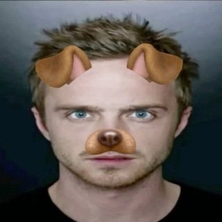 Telegram profile photo for мистер миша