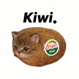 Telegram profile photo for Bluekiwi