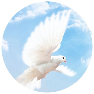 Telegram profile photo for 给有缘人
