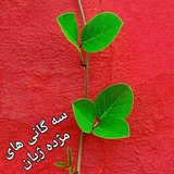 Telegram profile photo for سه گانی های مژده ژیان
