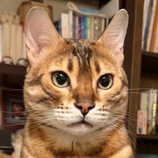 Telegram profile photo for 67373电报部频道