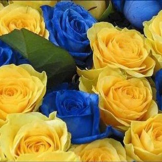 Telegram profile photo for Бабурка Паляниця Юбилейный 20Г