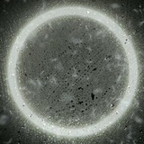 Telegram profile photo for TRAVELARIUM