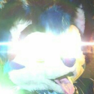 Telegram profile photo for Switch thoughts