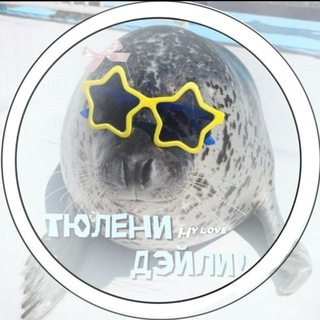 Telegram profile photo for НАБОР В АДМ . . тюлени дейли !¡ 🦭🐾
