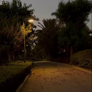 Telegram profile photo for الدليل.