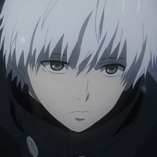Telegram profile photo for kolibri новости