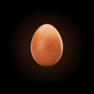 Telegram profile photo for eggocalypse⁰