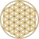 Telegram profile photo for Наш Путь