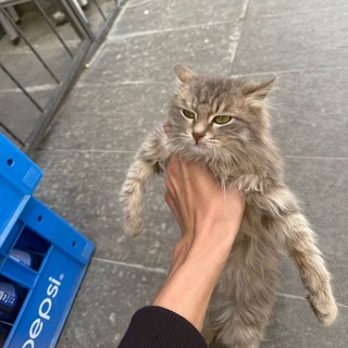 Telegram profile photo for ИСЛАМ