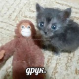 Telegram profile photo for Разбор а-ля рассказ про ср