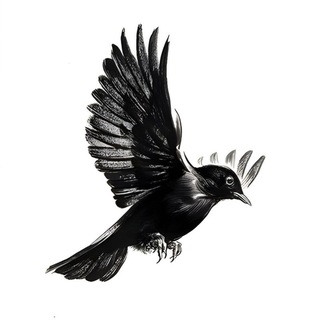 Telegram profile photo for Банка с фотографиями