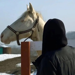 Telegram profile photo for ريحانة
