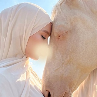 Telegram profile photo for عيش