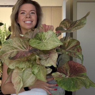 Telegram profile photo for Elizabeth_buksova plants