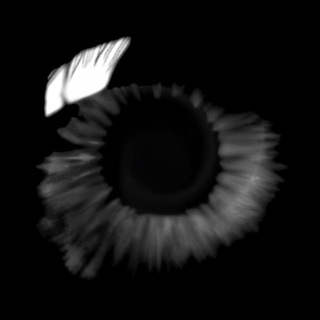 Telegram profile photo for METAMORFOZÉ