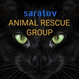 Telegram profile photo for animal_rescue_group.saratov
