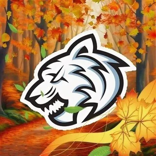 Telegram profile photo for Speed Russia
