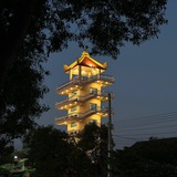 Telegram profile photo for 亚太新闻《小飞猪》吃瓜 爆料
