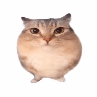 Telegram profile photo for 巴巴博 一 Bababoi